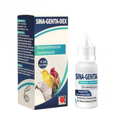 سينا جينتا ديكس